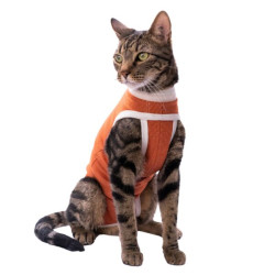 Kimba Vet Body Cobre Tradicional Talla 1 (2.5 a 3.5kg)