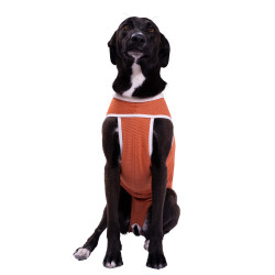 Kimba Vet Body Cobre Tradicional Talla 5 (7.5 a 10kg)
