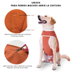 Kimba Vet Body Cobre Miembros Posteriores Talla 00 (0 a 1.5kg)