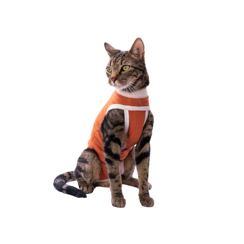 Kimba Vet Body Cobre Miembros Posteriores Talla 00 (0 a 1.5kg)