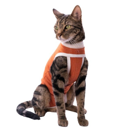 Kimba Vet Body Cobre Miembros Posteriores Talla 00 (0 a 1.5kg)