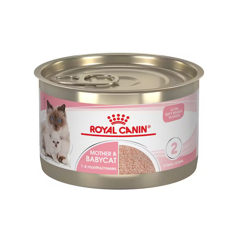 Royal Canin Mother & Babycat 145gr