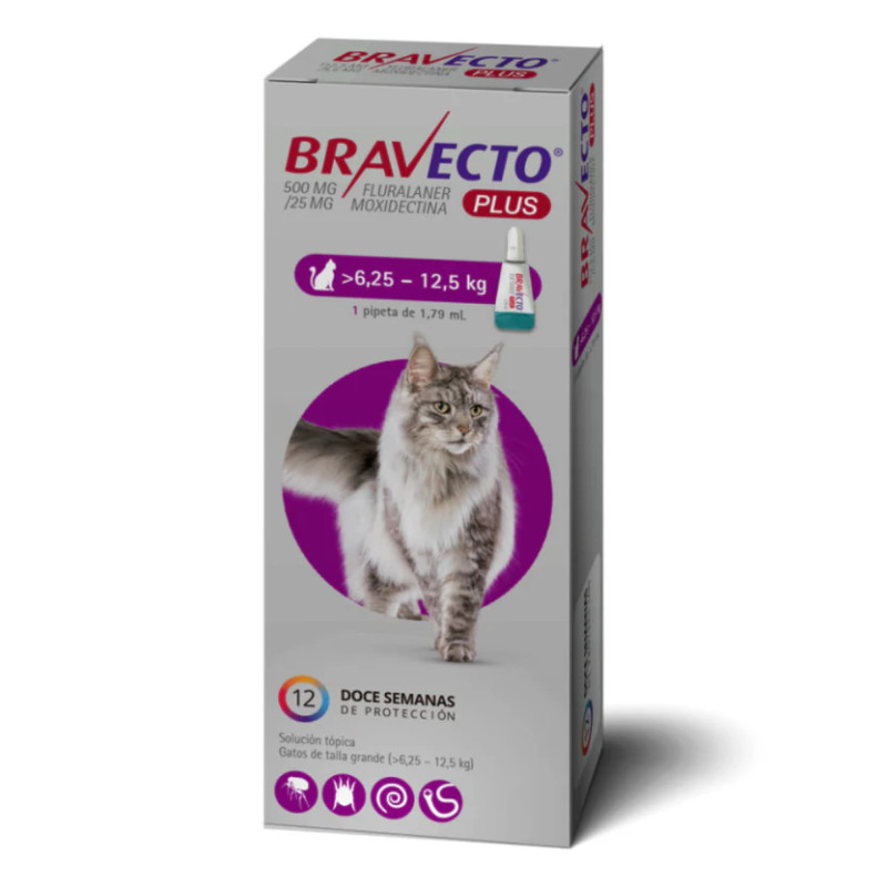 Bravecto Plus Felino 6.25 a 12.5kg