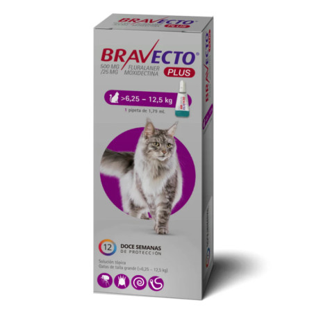 Bravecto Plus Felino 6.25 a 12.5kg