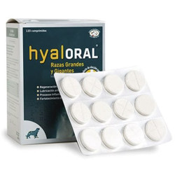 Hyaloral Raza Grandes (12 comprimidos)