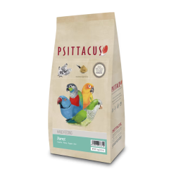 Psittacus Papilla Parrot Hand Feeding 1kg