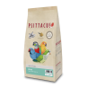Psittacus Papilla Parrot Hand Feeding 1kg