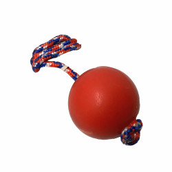 Pelota goma con cuerda