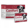CANIFORT® Comprimido Oral