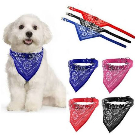 Collar para perros grande con pañuelo