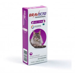 BRAVECTO PIPETA GATO de 6.25 a 12.4 kg