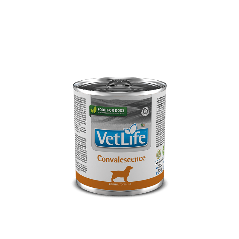Vet Life Dog Convalescence 300g Vet Life Dog Convalescence 300g