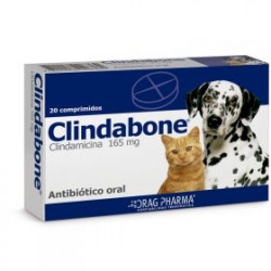 Clindabone Clindamicina 165mg