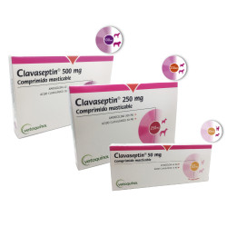 CLAVASEPTIN® 250 mg