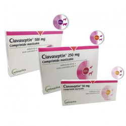 CLAVASEPTIN 50mg