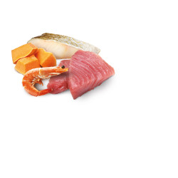 N&D Ocean Gatito Atún y Calabaza Húmedo 70gr