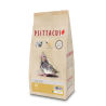 Psittacus Papilla Mini Hand Feeding 1kg