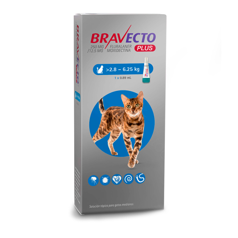 Bravecto Plus Felino 2.8 a 6.25 kg