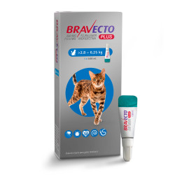 Bravecto Plus Felino 2.8 a 6.25 kg