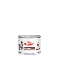 Royal Canin Recovery Canino/Felino 145gr