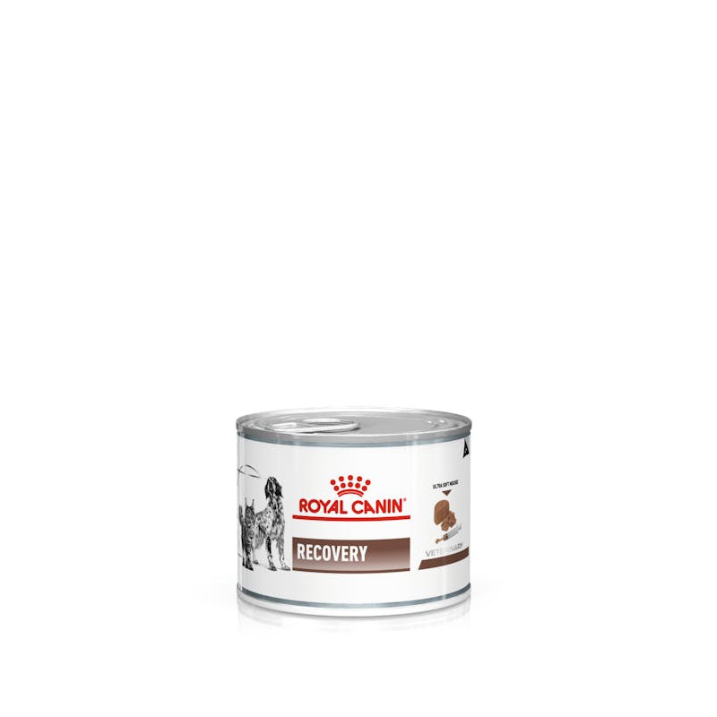 Royal Canin Recovery Canino/Felino 145gr Royal Canin Recovery Canino/Felino 145gr