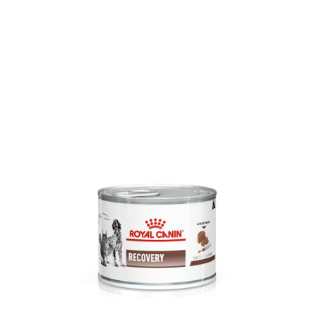 Royal Canin Recovery Canino/Felino 145gr