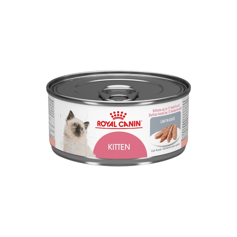 Royal Canin Kitten 145gr