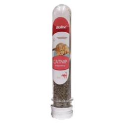 Catnip en Tubo 45ml