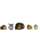 Alimentos animales exóticos