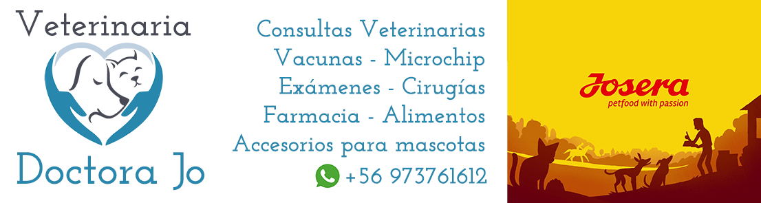 Veterinaria Doctora Jo